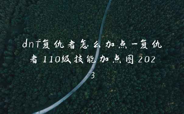 dnf复仇者怎么加点-复仇者110级技能加点图2023