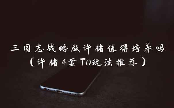 三国志战略版许褚值得培养吗（许褚4套T0玩法推荐）