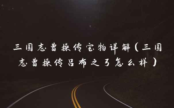三国志曹操传宝物详解（三国志曹操传吕布之弓怎么样）