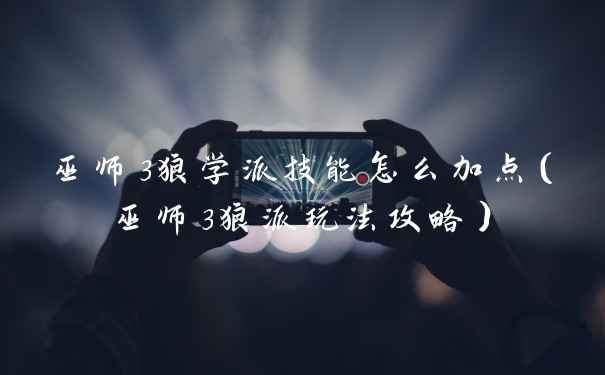 巫师3狼学派技能怎么加点（巫师3狼派玩法攻略）