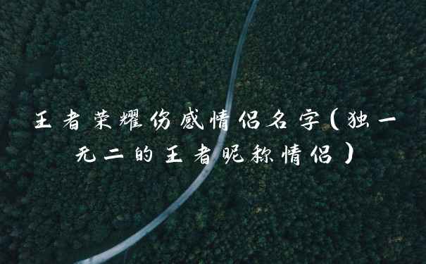 王者荣耀伤感情侣名字（独一无二的王者昵称情侣）
