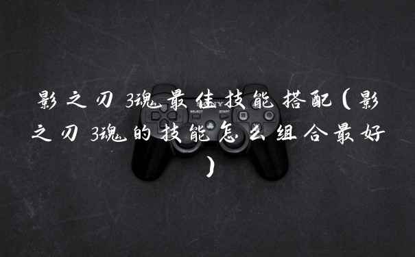 影之刃3魂最佳技能搭配（影之刃3魂的技能怎么组合最好）