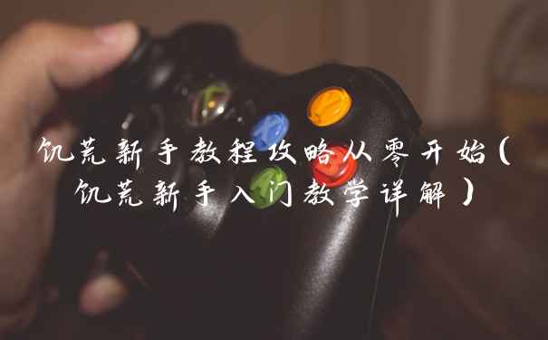 饥荒新手教程攻略从零开始(饥荒新手入门教学详解)