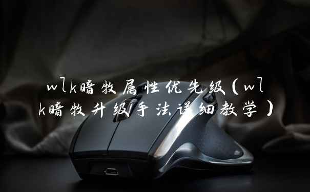 wlk暗牧属性优先级（wlk暗牧升级手法详细教学）