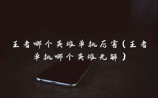 王者哪个英雄单挑厉害（王者单挑哪个英雄无解）