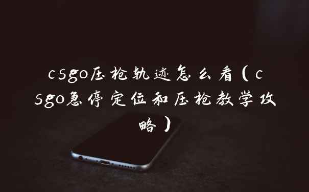 csgo压枪轨迹怎么看(csgo急停定位和压枪教学攻略)