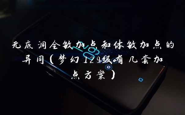 无底洞全敏加点和体敏加点的异同（梦幻129级有几套加点方案）