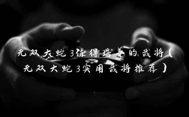 无双大蛇3值得培养的武将（无双大蛇3实用武将推荐）