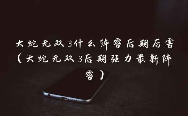 大蛇无双3什么阵容后期厉害（大蛇无双3后期强力最新阵容）