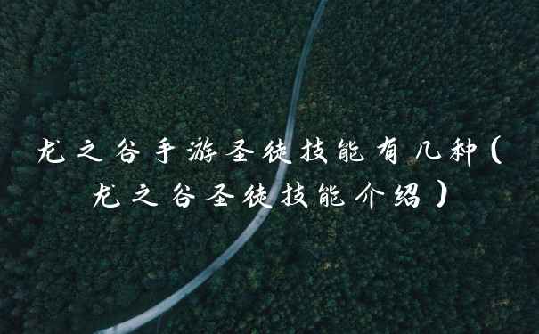 龙之谷手游圣徒技能有几种（龙之谷圣徒技能介绍）