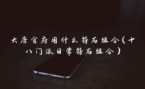 大唐官府用什么符石组合（十八门派日常符石组合）