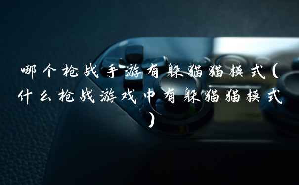 哪个枪战手游有躲猫猫模式（什么枪战游戏中有躲猫猫模式）
