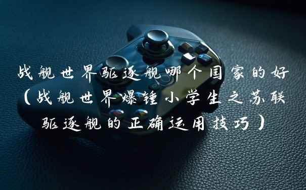 战舰世界驱逐舰哪个国家的好（战舰世界爆锤小学生之苏联驱逐舰的正确运用技巧）