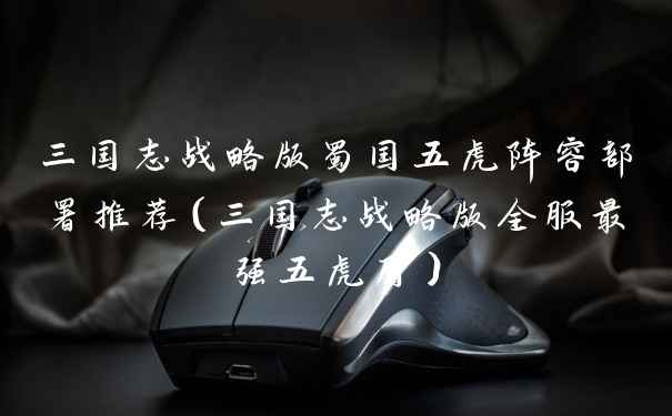 三国志战略版蜀国五虎阵容部署推荐（三国志战略版全服最强五虎盾）