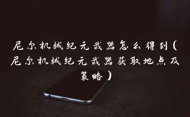 尼尔机械纪元武器怎么得到（尼尔机械纪元武器获取地点及策略）