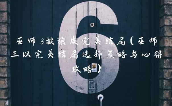 巫师3披狼皮完美结局（巫师三以完美结局选择策略与心得攻略）