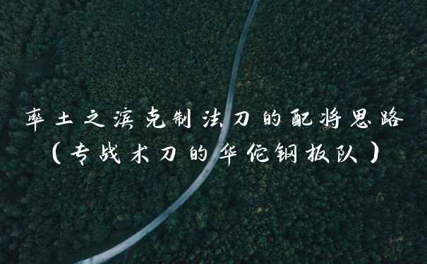 率土之滨克制法刀的配将思路（专战术刀的华佗钢板队）