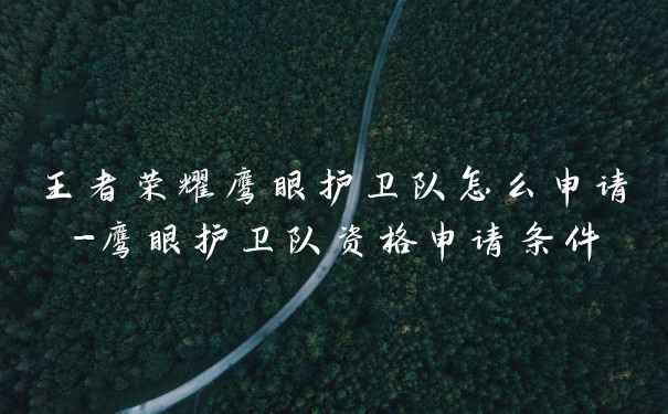 王者荣耀鹰眼护卫队怎么申请-鹰眼护卫队资格申请条件