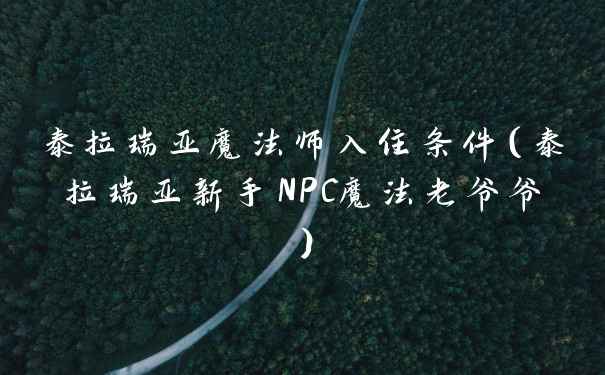 泰拉瑞亚魔法师入住条件（泰拉瑞亚新手NPC魔法老爷爷）