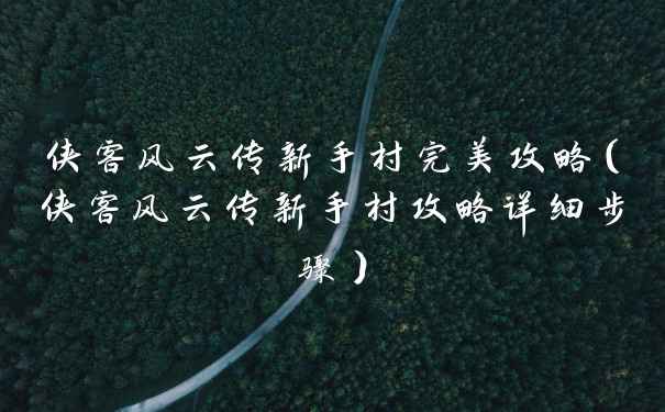 侠客风云传新手村完美攻略（侠客风云传新手村攻略详细步骤）