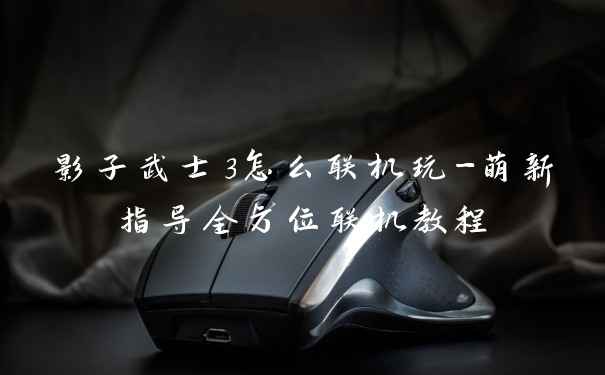 影子武士3怎么联机玩-萌新指导全方位联机教程