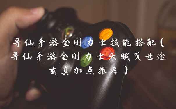 寻仙手游金刚力士技能搭配(寻仙手游金刚力士天赋页世途玄真加点推荐)