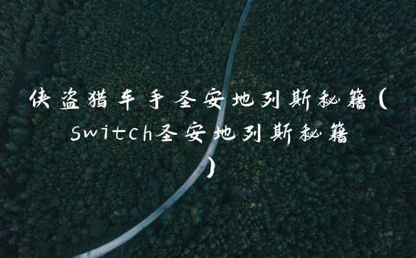 侠盗猎车手圣安地列斯秘籍（switch圣安地列斯秘籍）