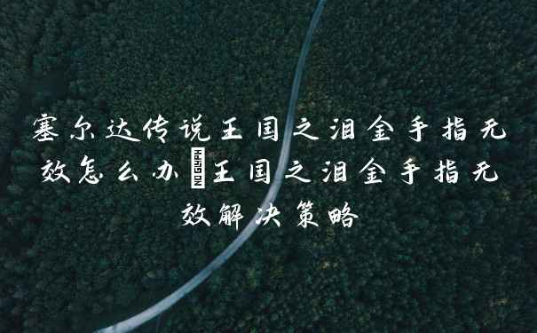 塞尔达传说王国之泪金手指无效怎么办_王国之泪金手指无效解决策略