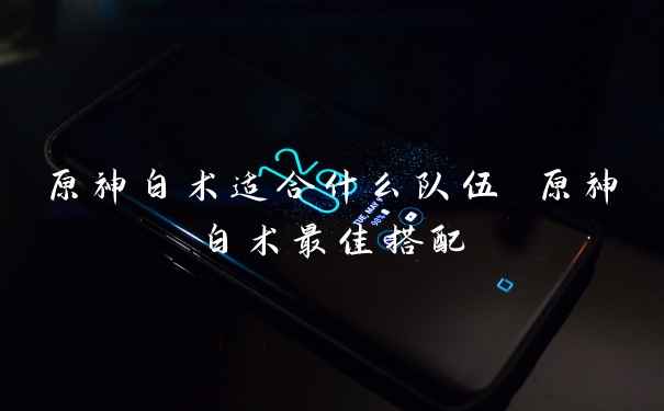 原神白术适合什么队伍 原神白术最佳搭配