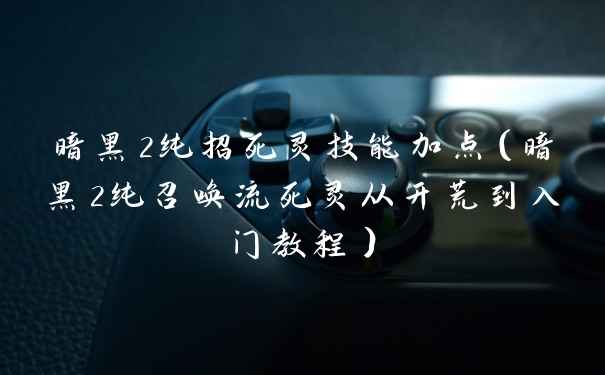 暗黑2纯招死灵技能加点(暗黑2纯召唤流死灵从开荒到入门教程)