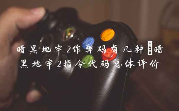 暗黑地牢2作弊码有几种_暗黑地牢2指令代码总体评价