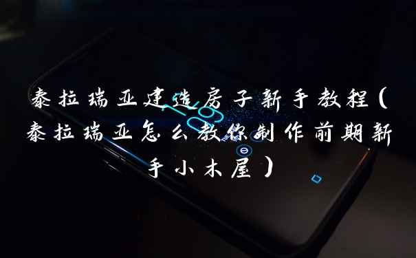 泰拉瑞亚建造房子新手教程（泰拉瑞亚怎么教你制作前期新手小木屋）