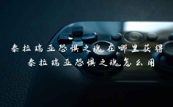 泰拉瑞亚恐惧之魂在哪里获得 泰拉瑞亚恐惧之魂怎么用