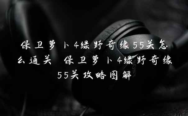保卫萝卜4绿野奇缘55关怎么通关 保卫萝卜4绿野奇缘55关攻略图解