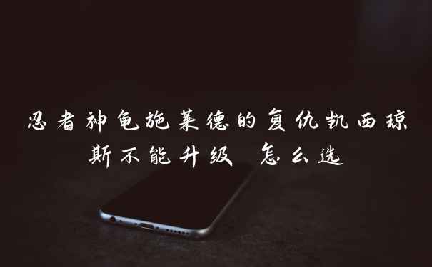 忍者神龟施莱德的复仇凯西琼斯不能升级 怎么选