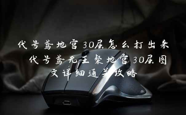 代号鸢地宫30层怎么打出来 代号鸢无王粲地宫30层图文详细通关攻略