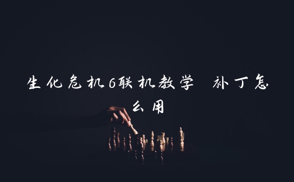 生化危机6联机教学 补丁怎么用