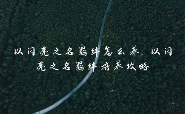 以闪亮之名羁绊怎么养 以闪亮之名羁绊培养攻略