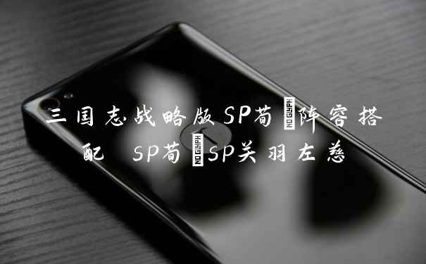 三国志战略版SP荀彧阵容搭配 sp荀彧sp关羽左慈