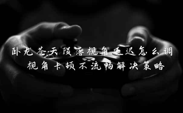 卧龙苍天陨落视角延迟怎么调 视角卡顿不流畅解决策略