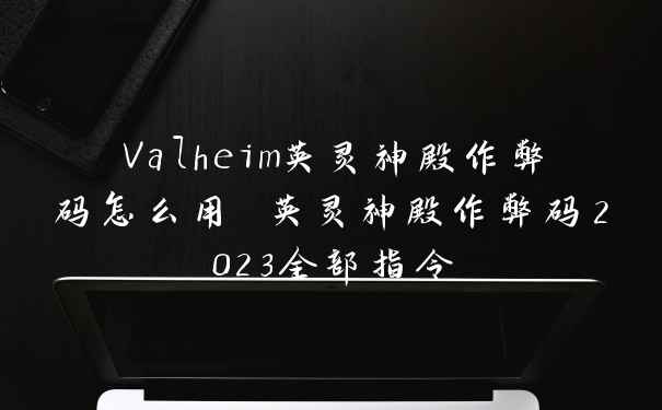 Valheim英灵神殿作弊码怎么用 英灵神殿作弊码2023全部指令