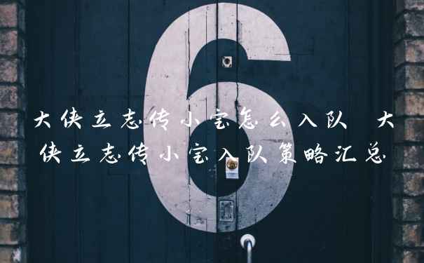 大侠立志传小宝怎么入队 大侠立志传小宝入队策略汇总