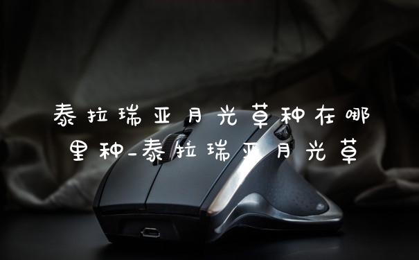 泰拉瑞亚月光草种在哪里种_泰拉瑞亚月光草