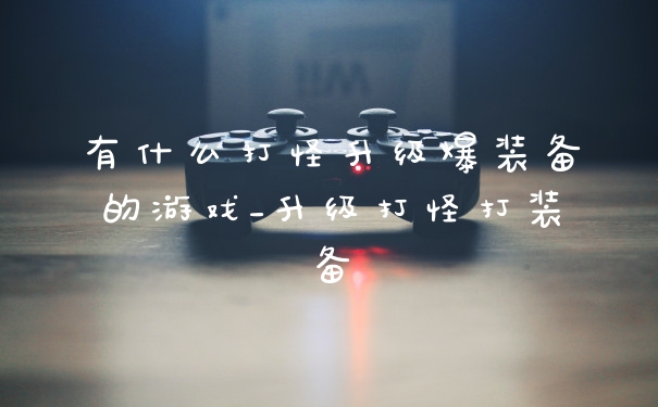 有什么打怪升级爆装备的游戏_升级打怪打装备