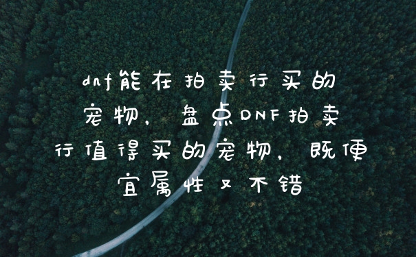dnf能在拍卖行买的宠物，盘点DNF拍卖行值得买的宠物，既便宜属性又不错