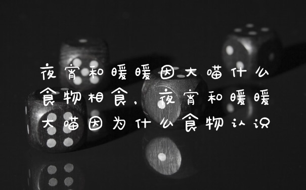 夜宵和暖暖因大喵什么食物相食，夜宵和暖暖大喵因为什么食物认识