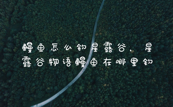 鳗鱼怎么钓星露谷，星露谷物语鳗鱼在哪里钓