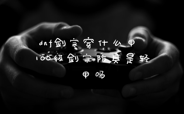 dnf剑宗穿什么甲 100级剑宗防具是轻甲吗