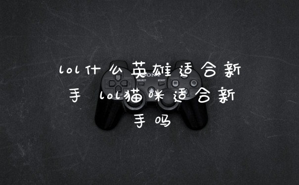 lol什么英雄适合新手 lol猫咪适合新手吗