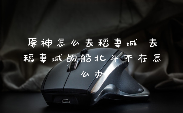 原神怎么去稻妻城 去稻妻城的船北斗不在怎么办